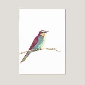 Nicolas-illustration-postcard-european-bee-eater