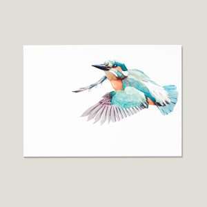Nicolas-illustration-postcard-kingfisher-thumb