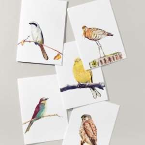 Postcards