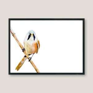 Limited edition prints
