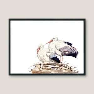 Nicolas-illustration-stork-nest-frame